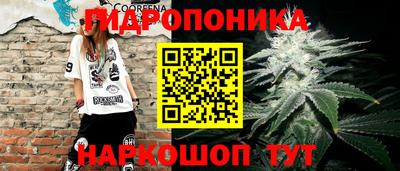 МДПВ Гусь-Хрустальный